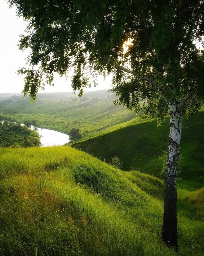 Природа тульской области фото Река Красивая Меча, Тульская область Пикабу Country roads, Nature, Gods creation