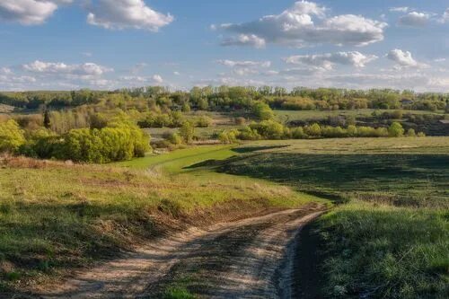 Природа тульской области фото Просторы Тульской Области. Фотограф Мартыненко Дмитрий