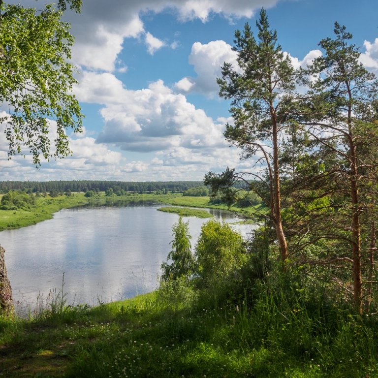 Природа тверской области фото Река в твери - Поход - сплав по р.Тверца в городе Тверь на SUP досках