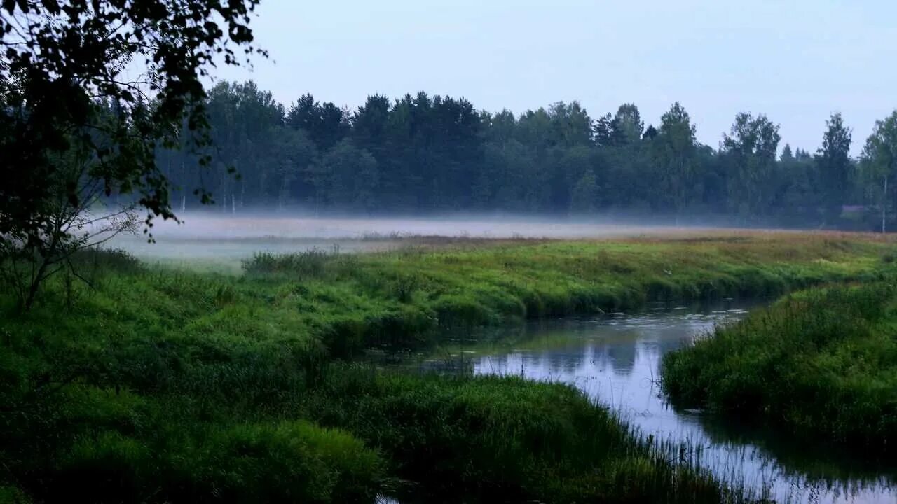 Природа тверской области фото Картина на холсте 60x110 Альянс Лес "Лето природный заповедник" на подрамнике / 