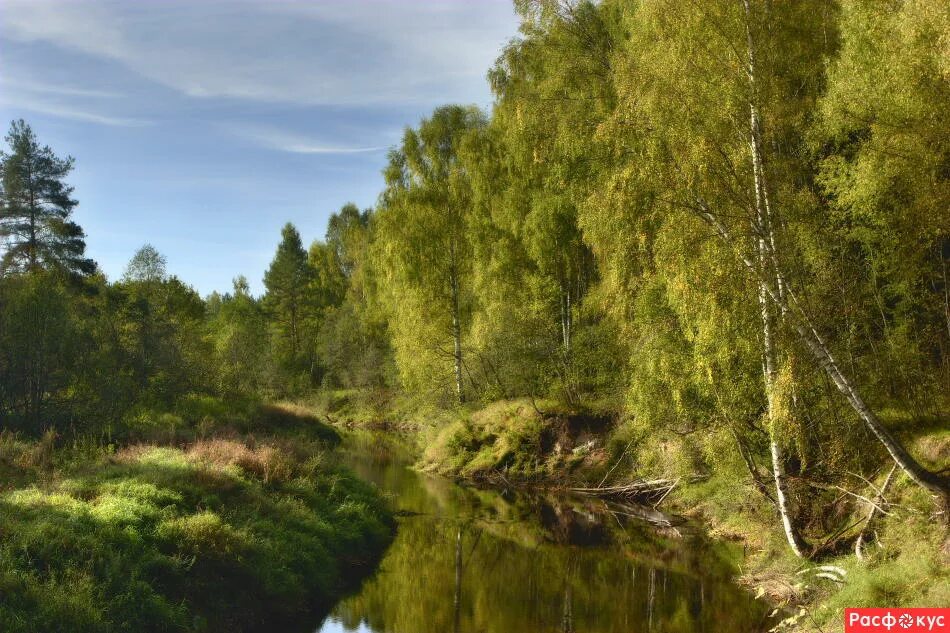 Природа тверской области фото Фото: Пейзаж. Фотограф Татьяна Алексикова. Пейзаж - Фотосайт Расфокус.ру