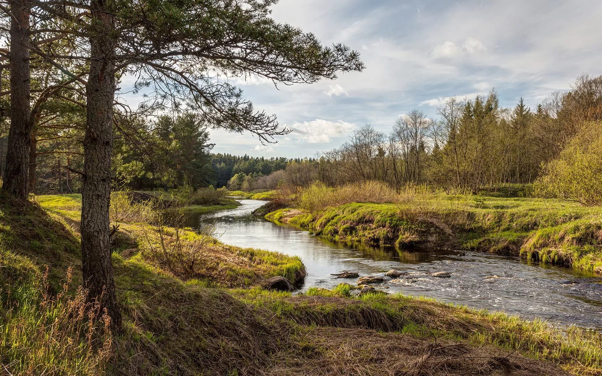 Природа тверской области фото Скачать обои река, природа, лес, river, nature разрешение 1152x864 #89857