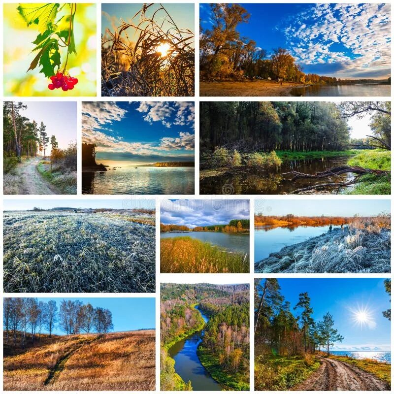 Природа тюмени фото коллажа Collage of Nature Photos of the Autumn Season Stock Photo - Image of autumn, sea