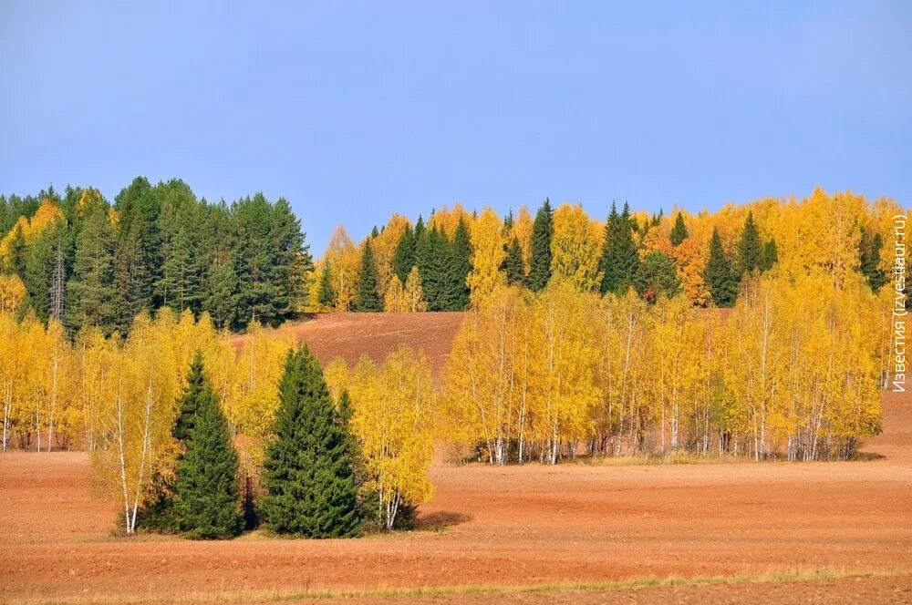 Природа удмуртии фото Россия, Ижевск и Удмуртия 100 лет тому назад. № 112 (5447) 6 октября