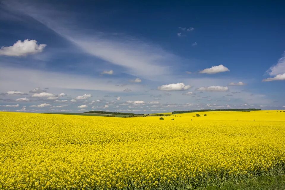 Природа украины фото Каменец- Подольский или огонь, вода и туман. - Сообщество "Фотография" на DRIVE2