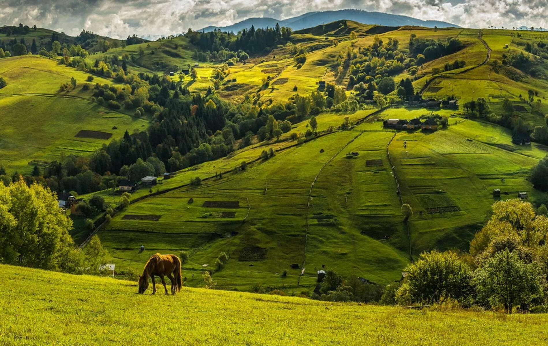 Природа украины фото Східниця, відпочинок в Східниці Відпочинок та лікування в Карпатах, Трускавці, С