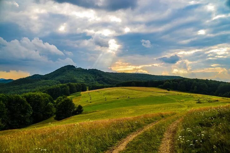 Природа украины фото Карпаты Scenery, Farmland, Country roads