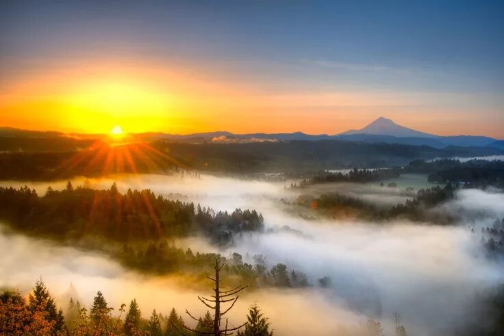 Природа утром фото скачать Mist covers the valley below as the sun rises over Jonsrud Viewpoint, Oregon Sun