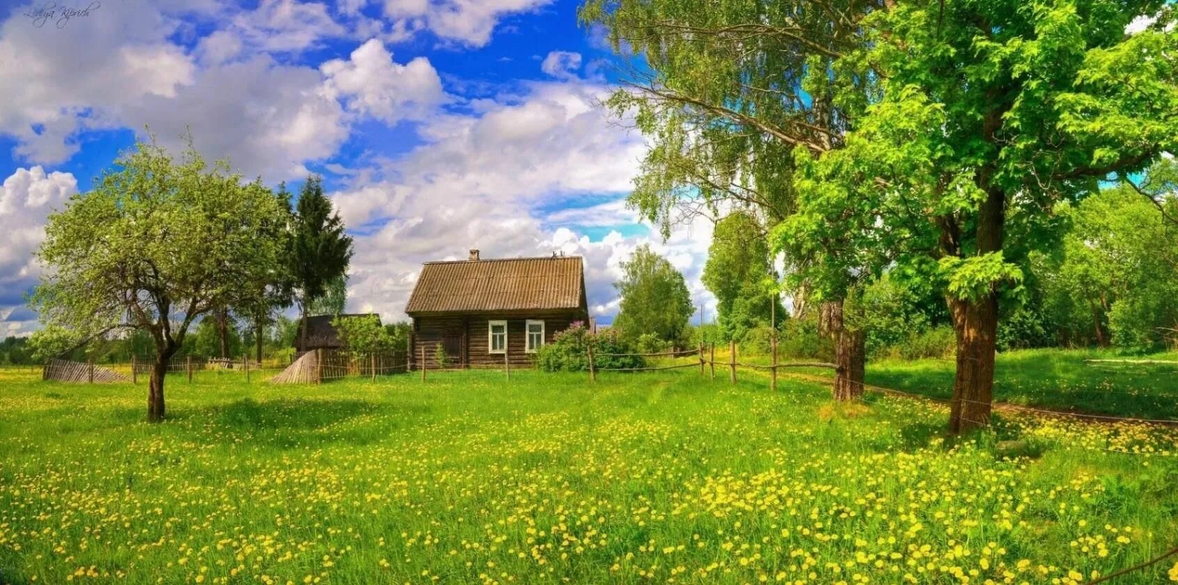 Природа в деревне фото Родная деревня моя" 2022, Московская область - дата и место проведения, программ