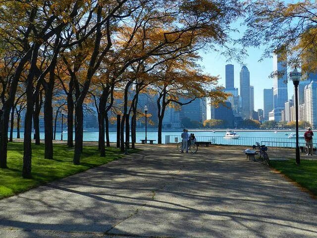 Природа в городе фото The 13 Most Underrated Things in Chicago Milwaukee city, Fall getaways, Chicago 