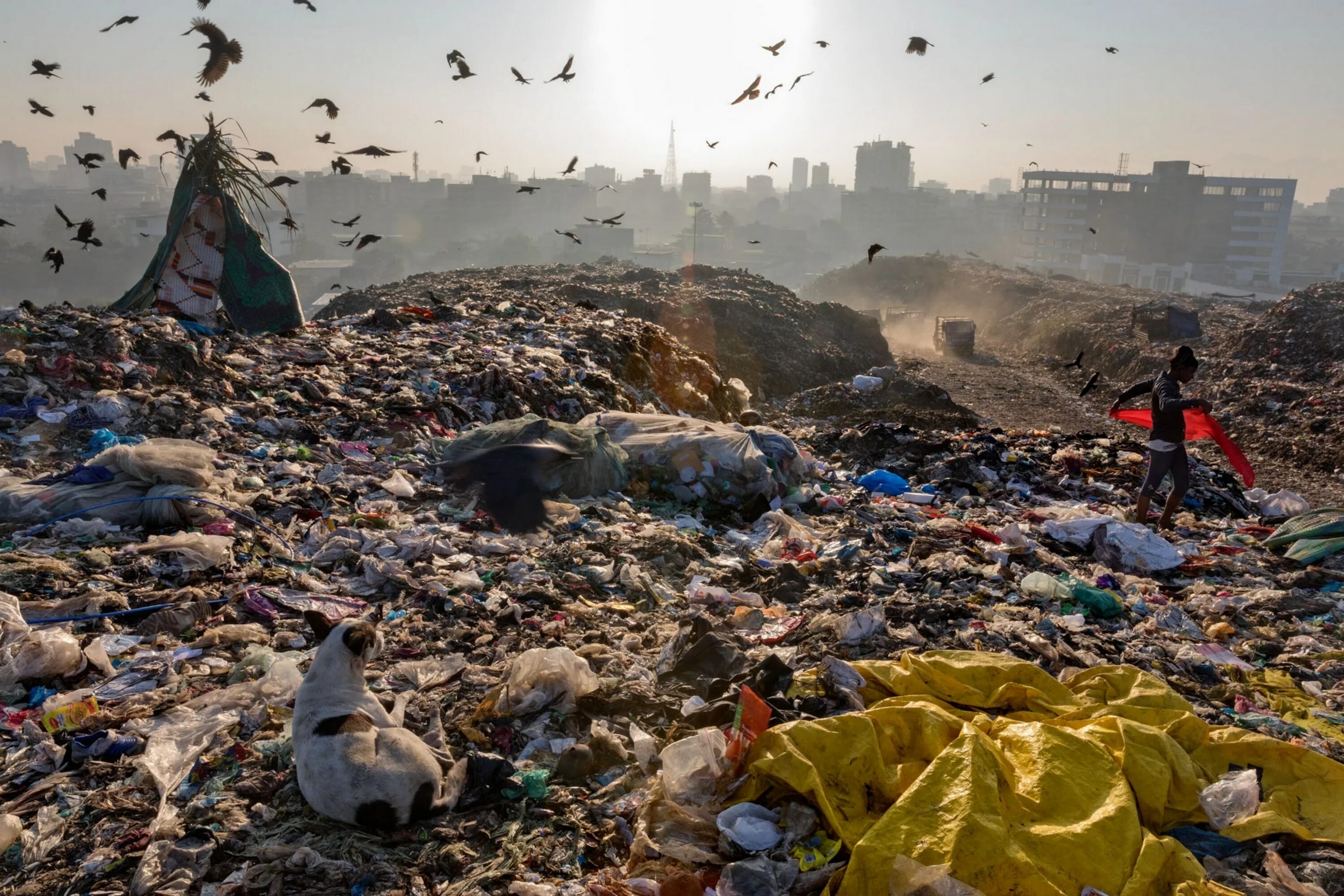 Природа в опасности фото We Depend on Plastic. Now We’re Drowning in It.