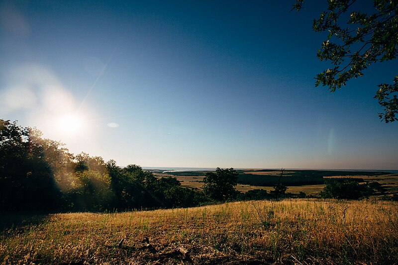 Природа волгоградской области фото File:Kamyshinsky District, Volgograd Oblast, Russia - panoramio (404).jpg - Wiki