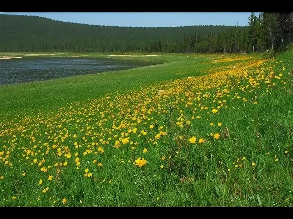 Природа якутии фото самые красивые "Лето" якутская песенка разучиваем на блокфлейте - YouTube