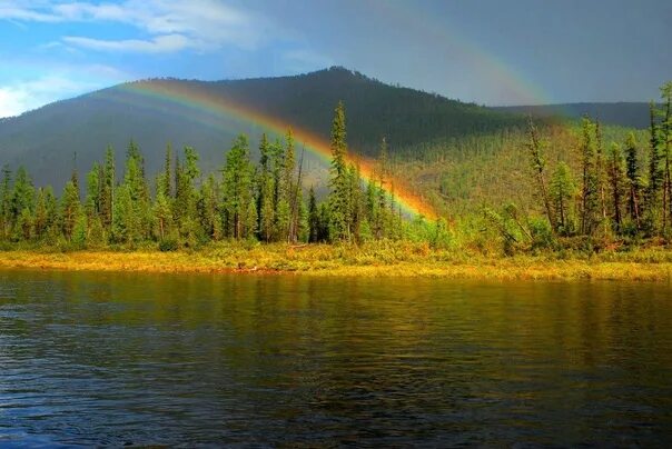 Природа якутии фото самые красивые On the river Guin. Yakutia. © Y. Kokovin. Самые красивые реки и озёра России ВКо