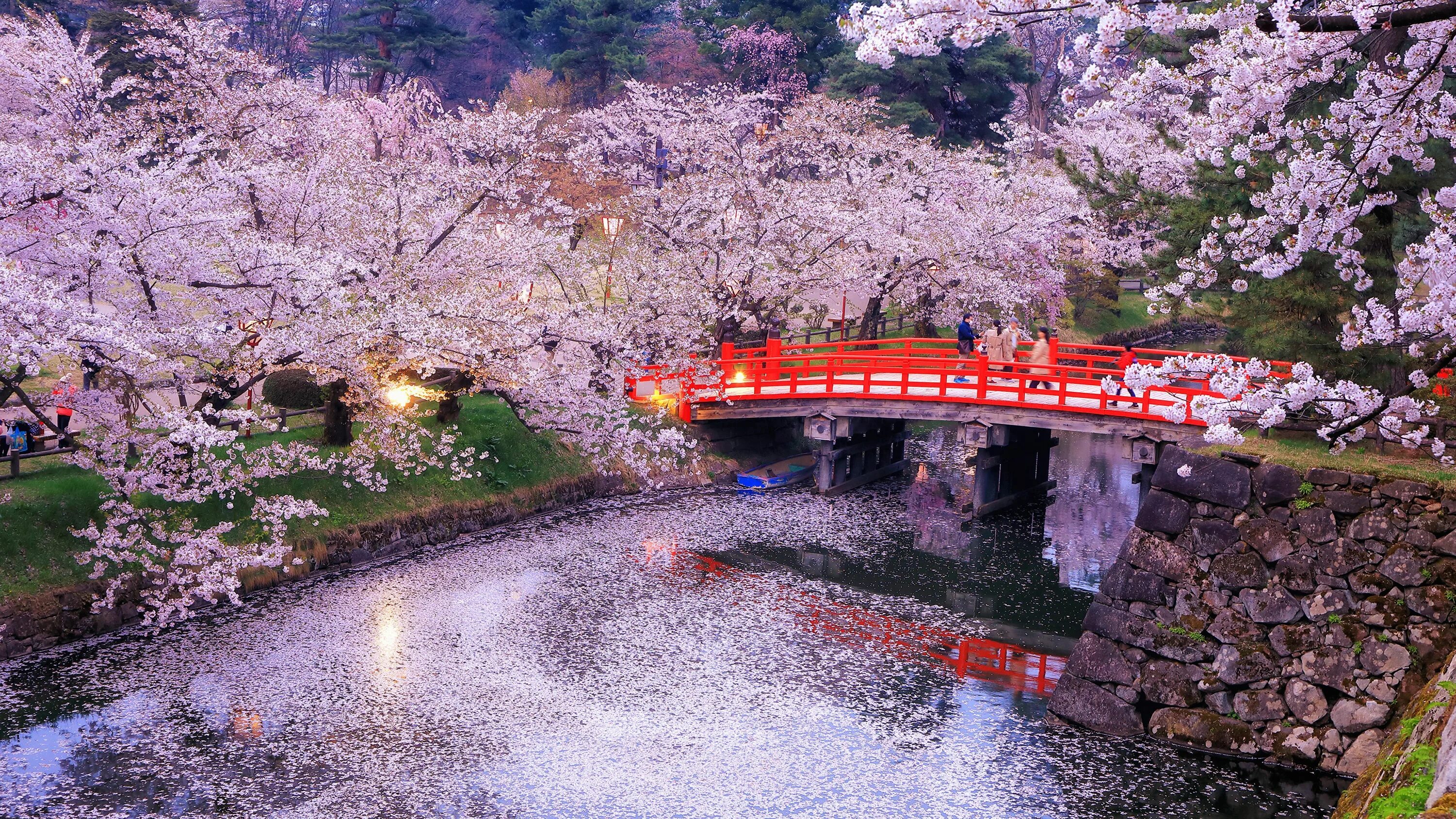 Природа японии фото Ueno Garden - Tokyo Япония, Токио, Путешествия