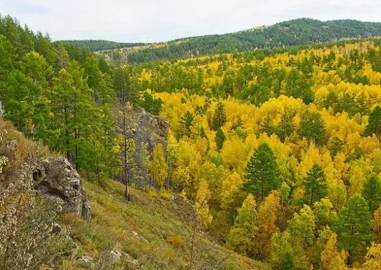 Природа забайкальского края фото Осень. Материалы для воспитателей, страница 82. Воспитателям детских садов, школ