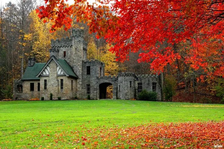 Природа замок фото Fallen Leaves Castle, Summer wallpaper, Scenic