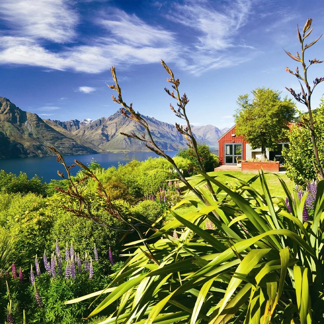 Природа зеландии фото Azur - Queenstown - a MICHELIN Guide Hotel