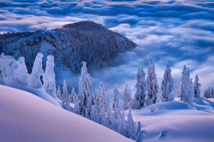 Природа зима фото самые красивые stuning view above the clouds Beautiful winter scenes, Above the clouds, Winter 