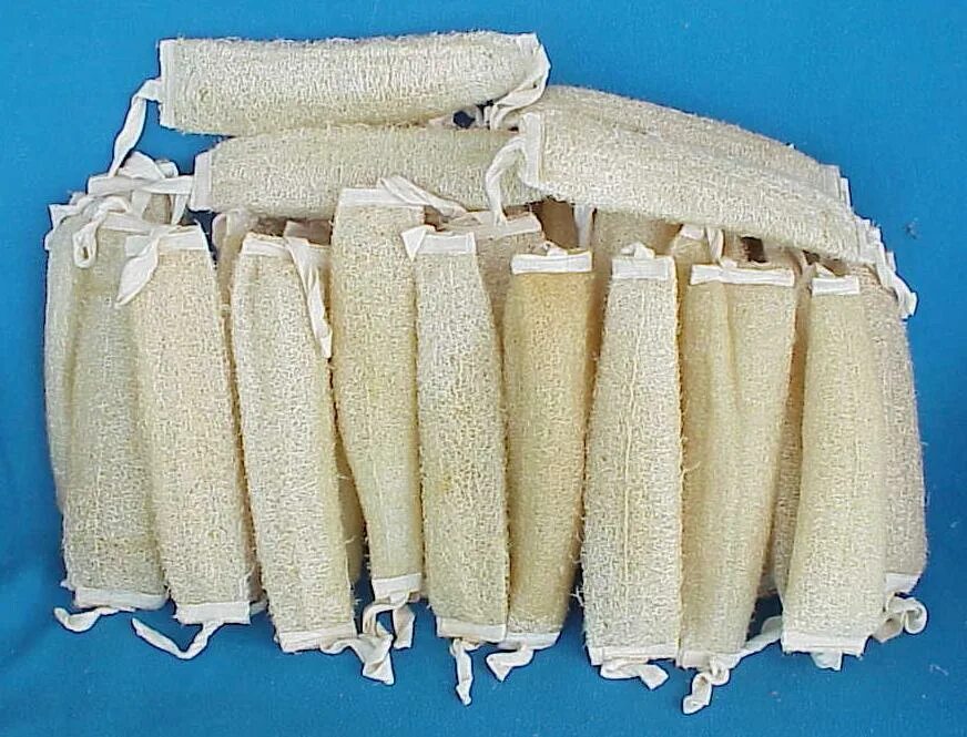 Природная мочалка люфа фото ✔ Щетка или мочалка 4pcs ECO HEALTH 100% ORGANIC GEORGIAN LOOFAH WASH BODY SPONG