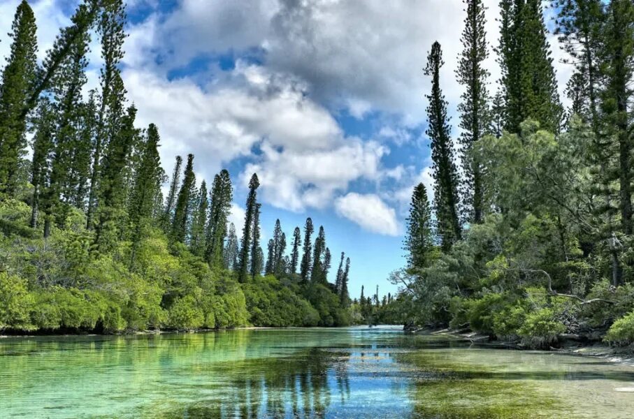 Природная среда фото Home Pacific Environment