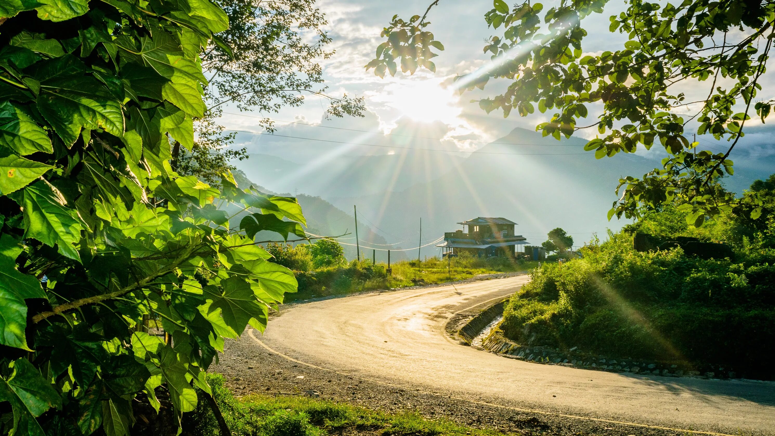 Природная среда фото Free Images : landscape, tree, nature, forest, path, pathway, light, cloud, sky,