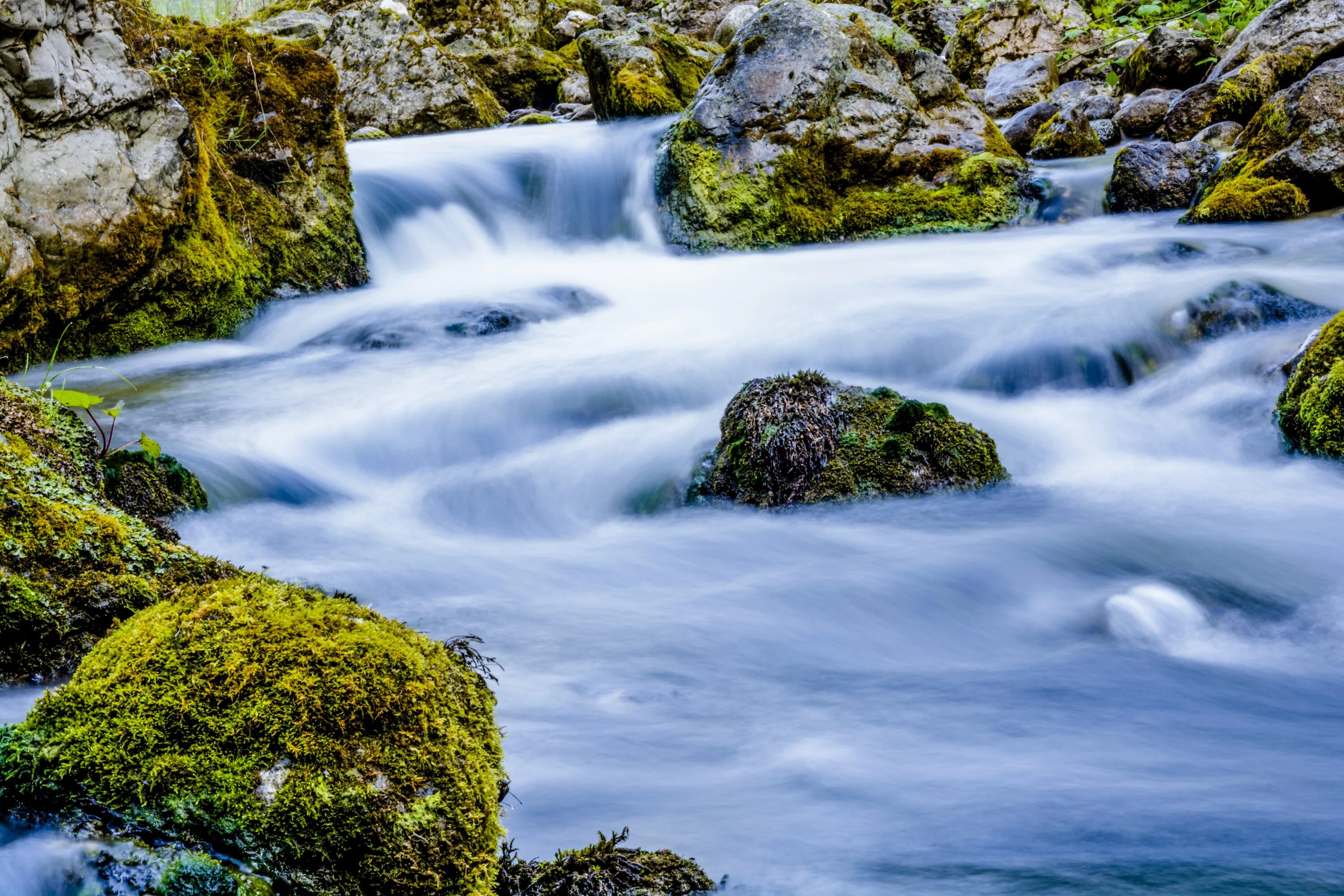 Природная вода фото Free Images : landscape, tree, nature, rock, waterfall, mountain, leaf, flower, 