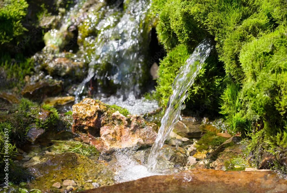 Природная вода фото source of spring water фотография Stock Adobe Stock