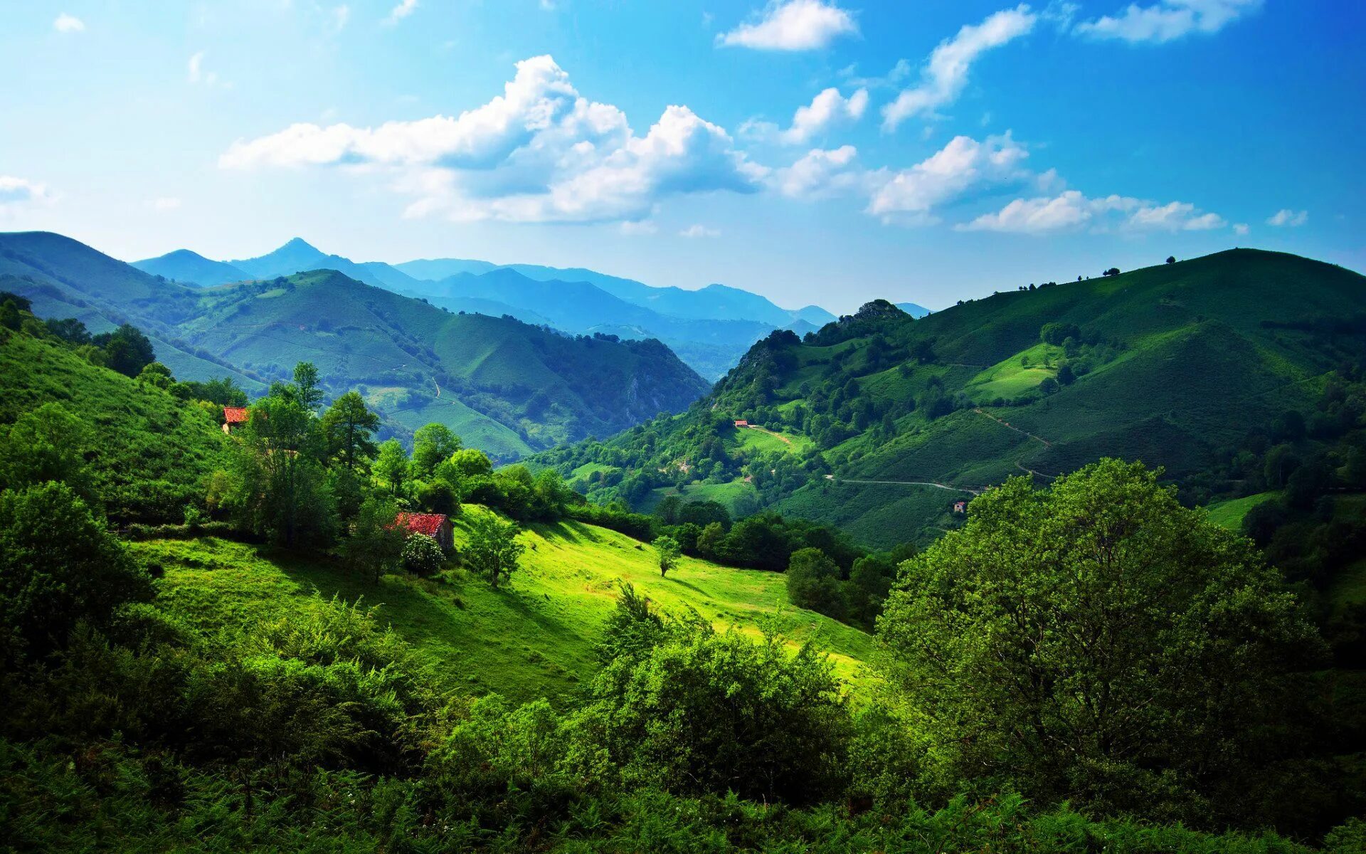 Природно натурально фото green hills - Google Search