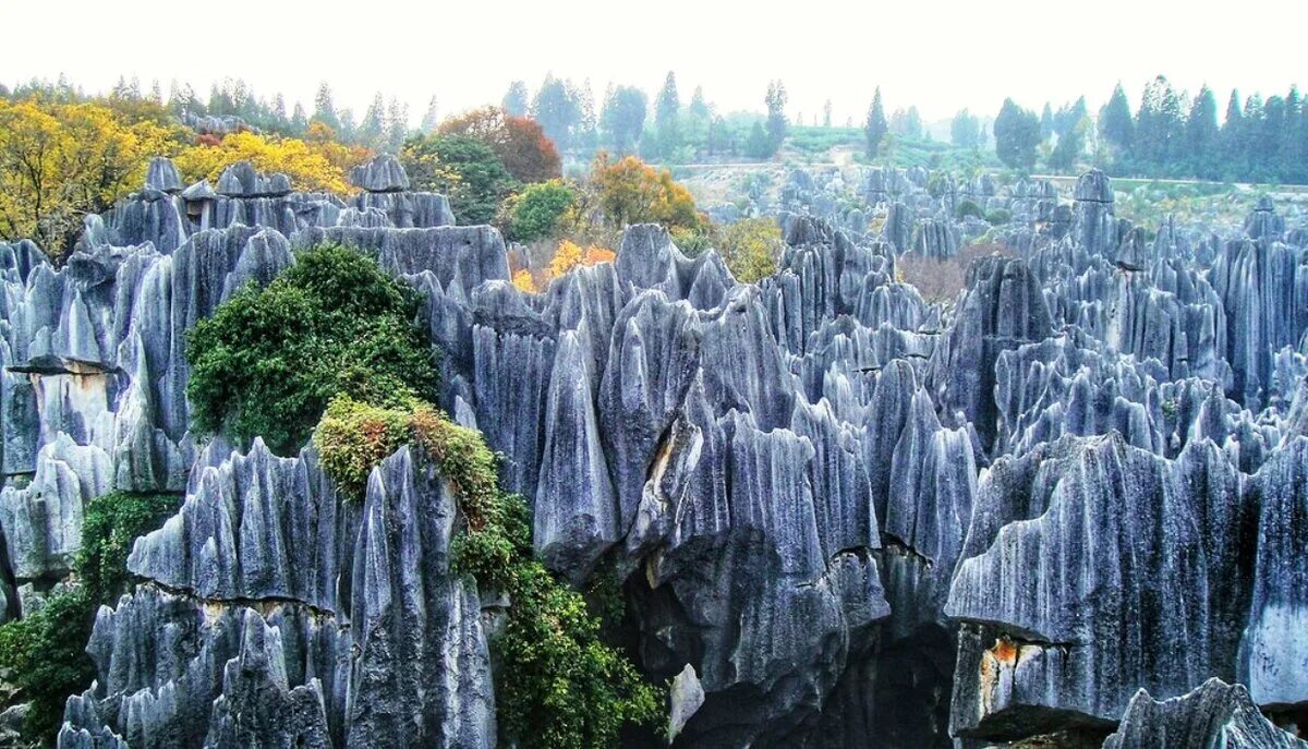 Природные чудеса фото Каменные леса Шилинь - первое чудо света. 1001tours Дзен