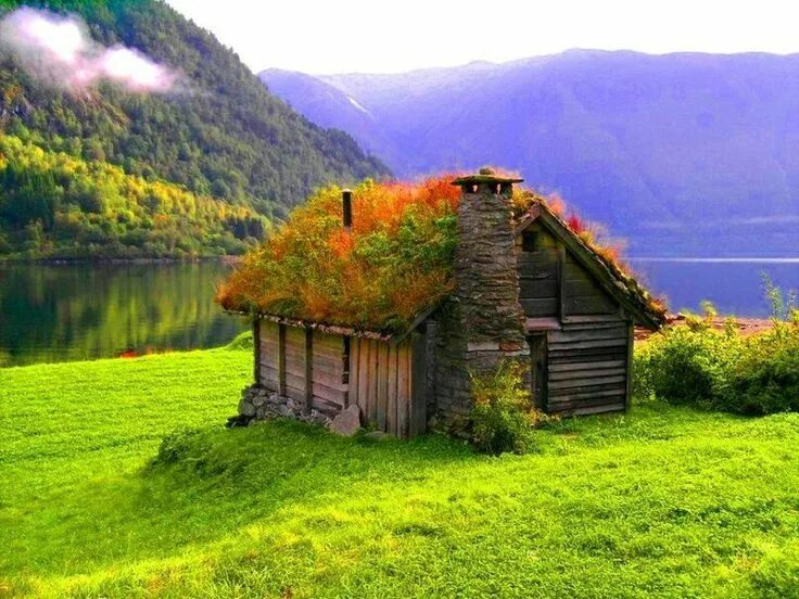 Природные дома фото Заброшенный домик в Норвегии Grass roof, Norwegian cottage, Beautiful cottages