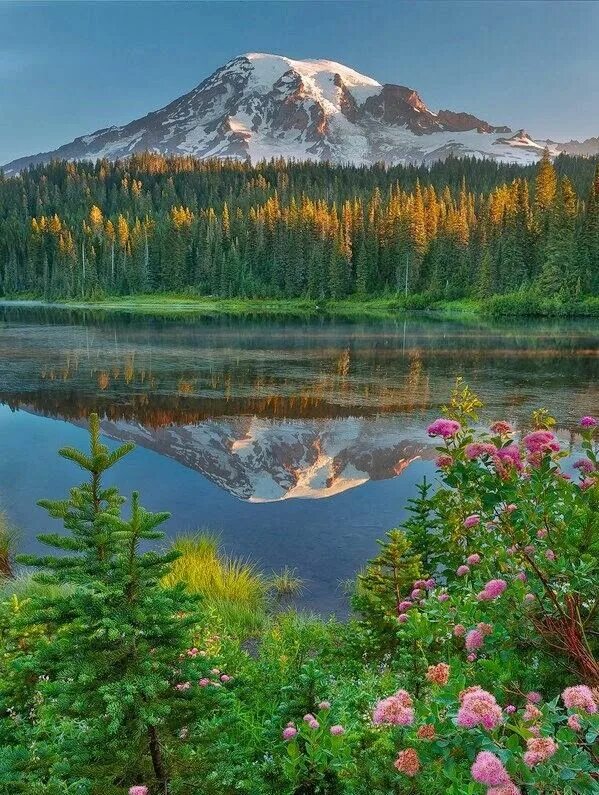 Природные картинки фото Reflections of Mount Rainier Nature photography, Beautiful nature, Nature pictur