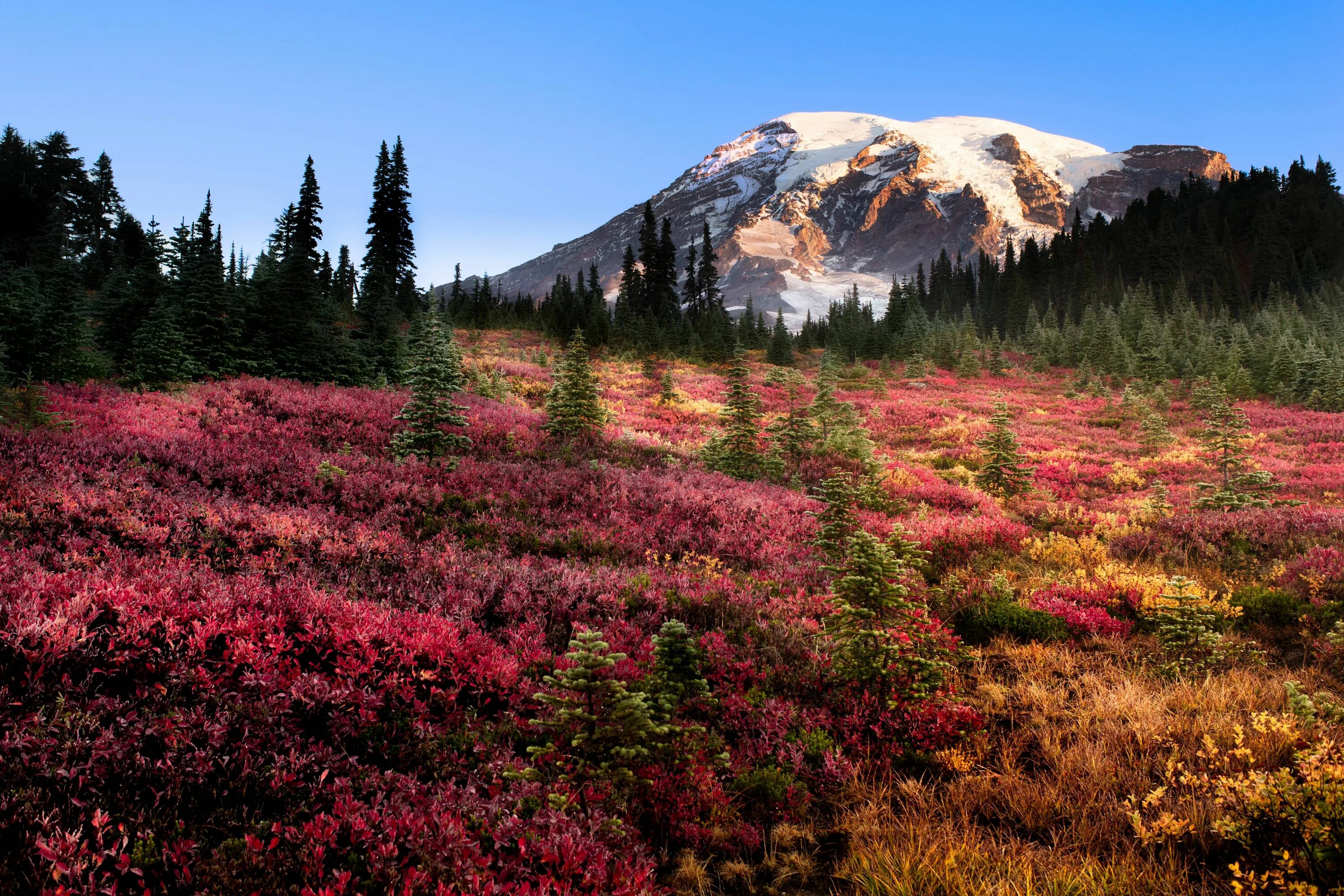 Природные картинки фото Mt Rainier Fall Sunrise 5732 x 3821 OC Sunrise, Beautiful nature, Mount rainier 