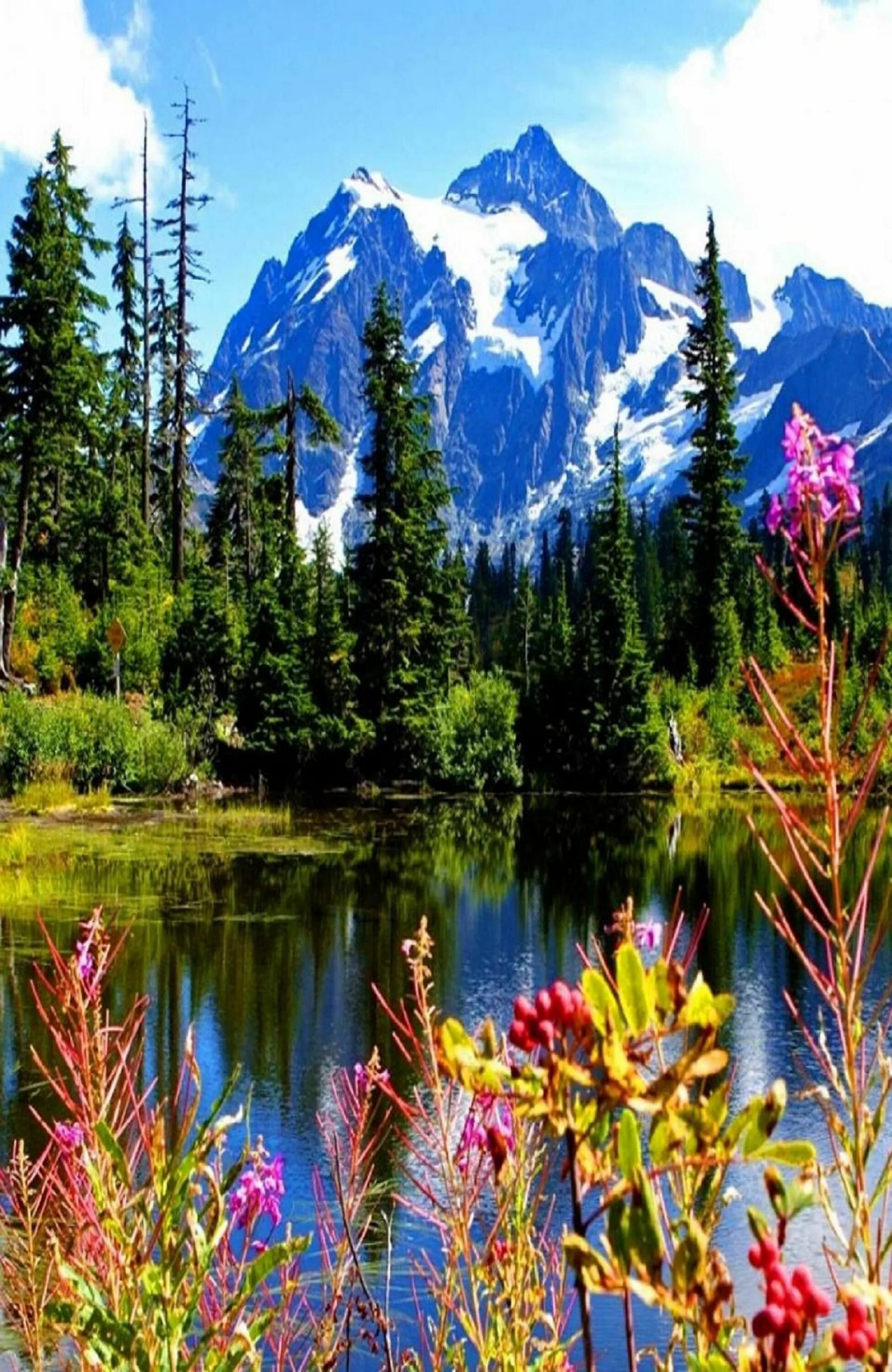 Природные картинки фото Pin on !! A BEAUTIFUL WORLD !! National parks america, National parks, Cascade n