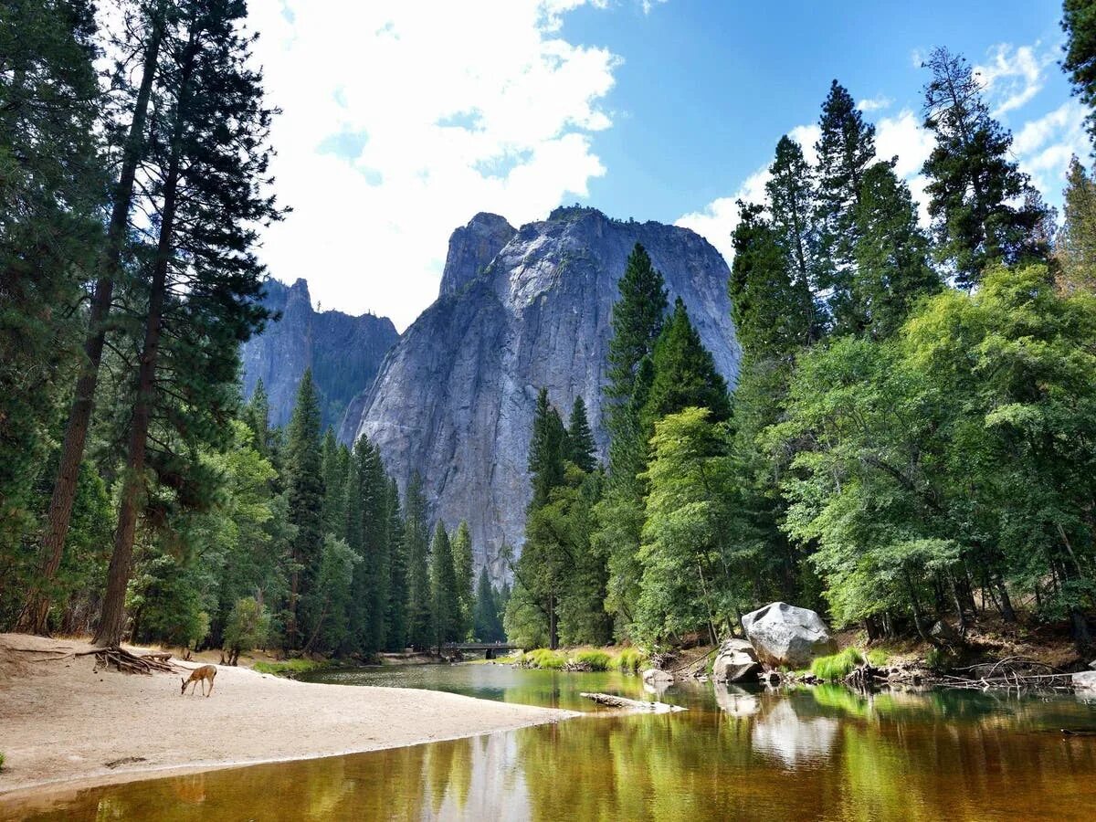 Природные парки фото Arizona woman falls to death while climbing in Yosemite National Park The Indepe