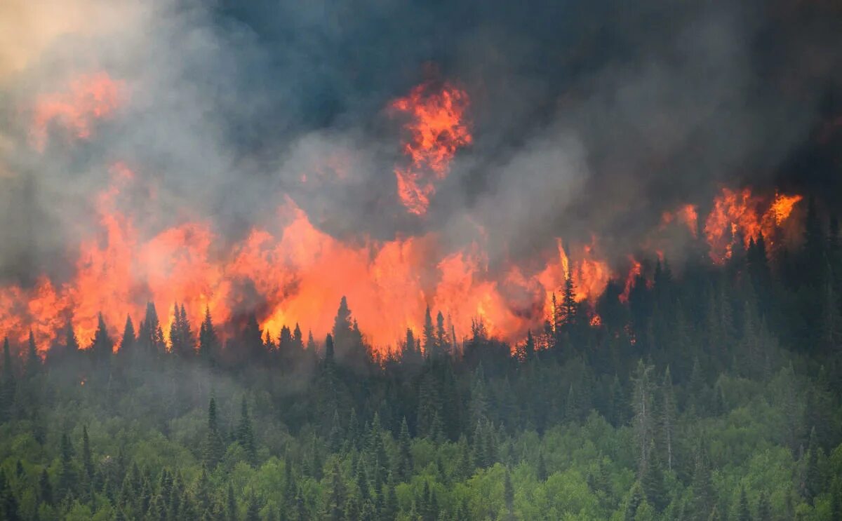 Природные пожары фото See pictures and videos of 2023 Canadian wildfires and their impact