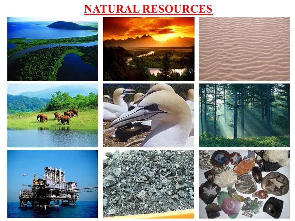 Природные ресурсы фото для презентации CHAPTER - 16 MANAGEMENT OF NATURAL RESOURCES - ppt video online download