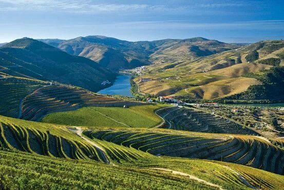 Природные ресурсы франции фото Douro Valley Douro valley, Local tour guides, Wine region