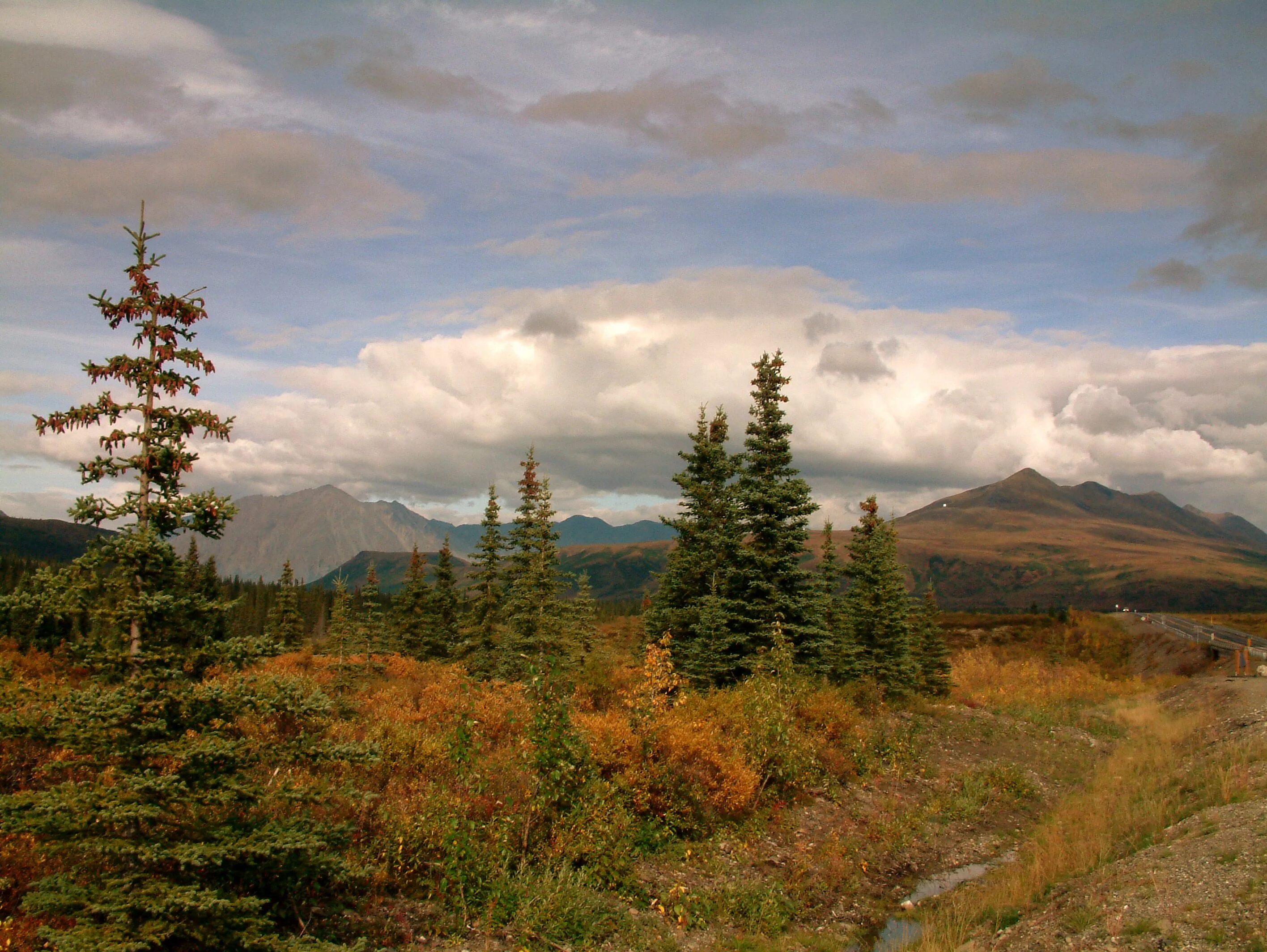 Природные зоны фото Файл:On the way into Denali National Park.jpg - Вікіпедія