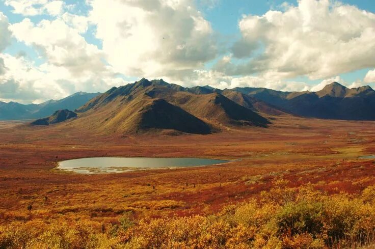 Природные зоны фото Tombstone National Park, Yukon, Canada - The tundra in the fall is like a waterc