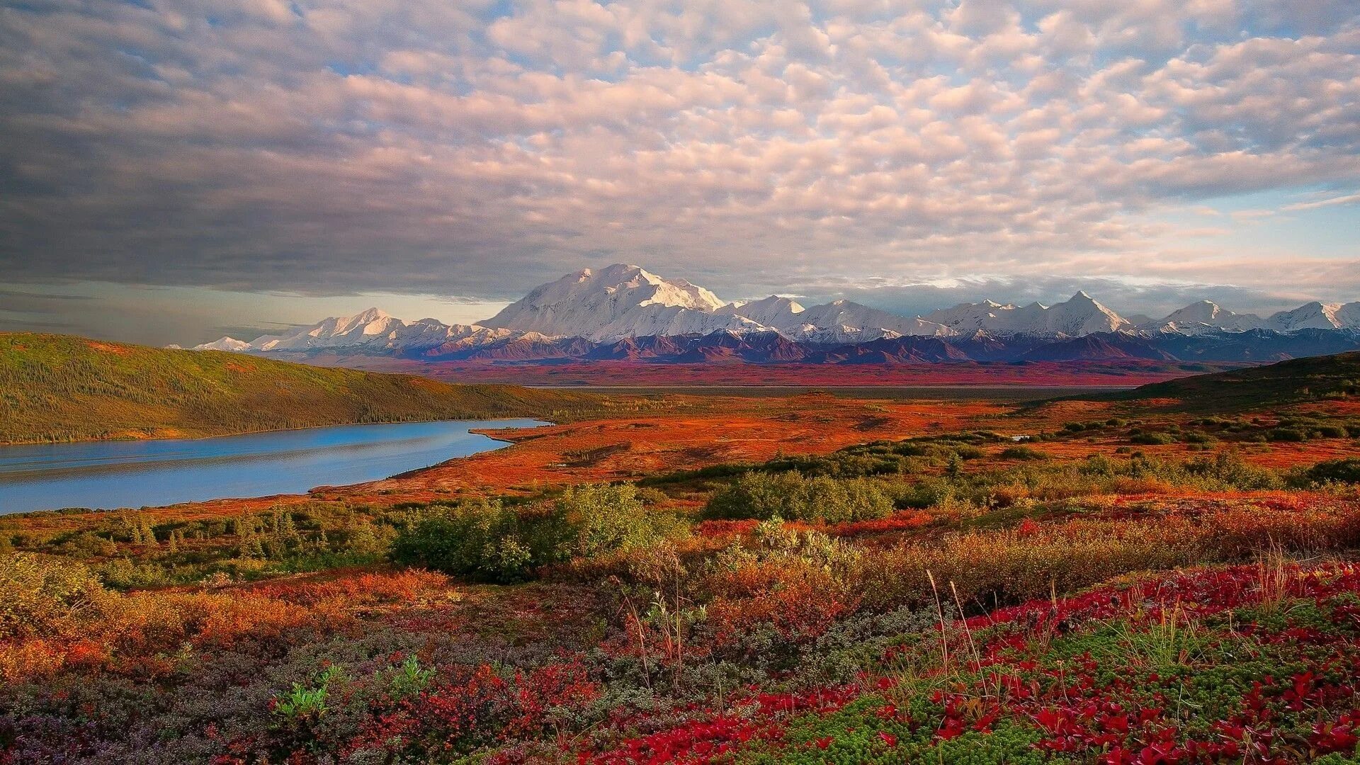 Природные зоны фото Denali National Park and Preserve Wallpaper Denali national park, Denali nationa