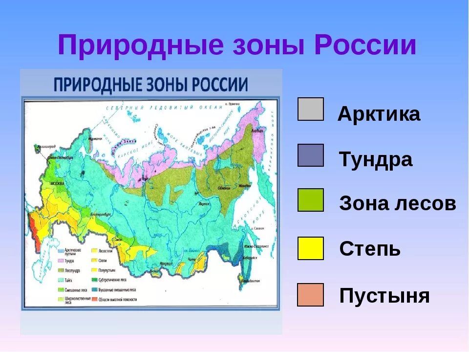 Природные зоны фото Какие природные зоны находятся