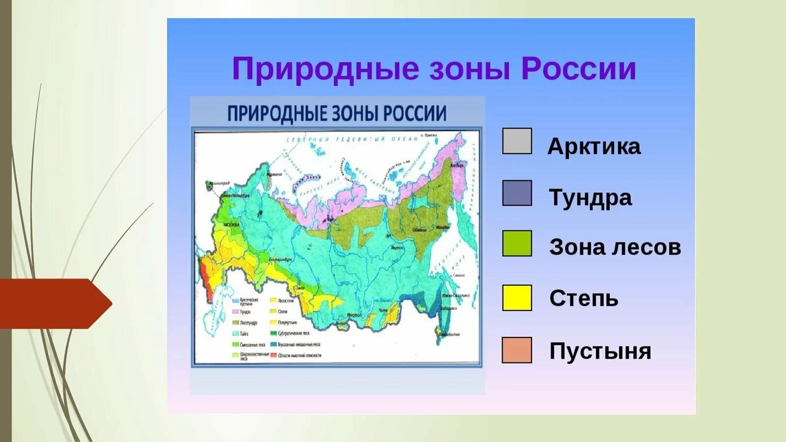 Природные зоны россии фото Природная зона 9