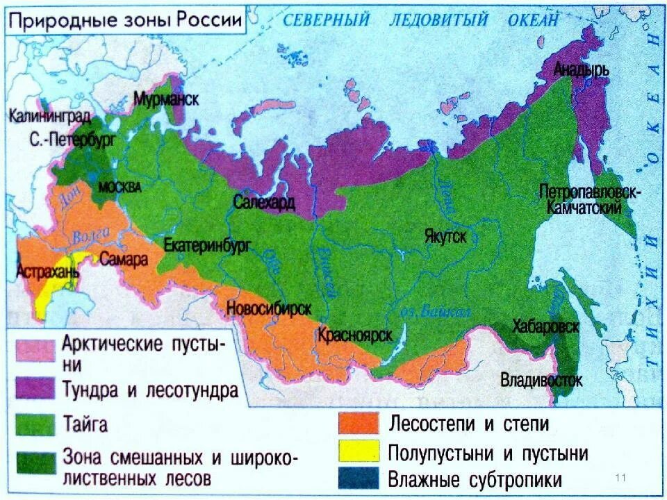 Природные зоны россии фото В какой природной зоне находится мурманск - Вопросы и ответы