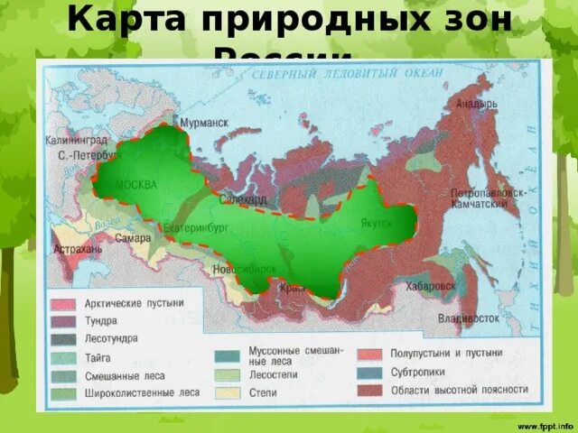 Природные зоны россии фото Методическая разработка урока "Природные зоны России . Путешествие по тайге". - 