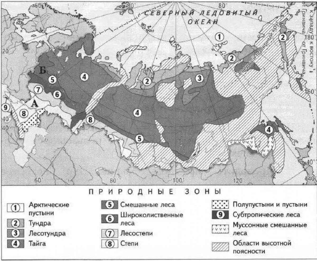 ПРИРОДНЫЕ ЗОНЫ РОССИИ