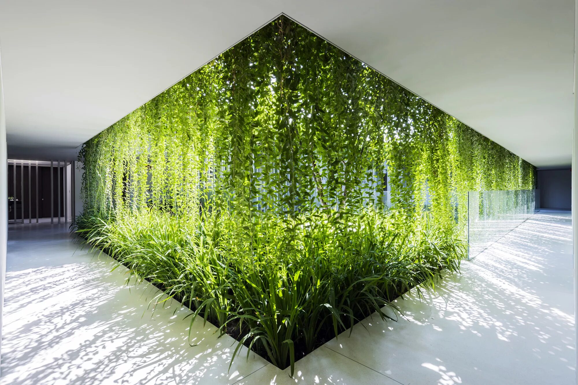 Природный дизайн фото Green Rooms: The Growth of Biophilic Design Through Architectural Photography - 