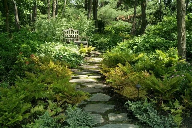 Природный дизайн фото 38+ Wonderful Woodland Garden Ideas Easy To Create Shade garden design, Woodland