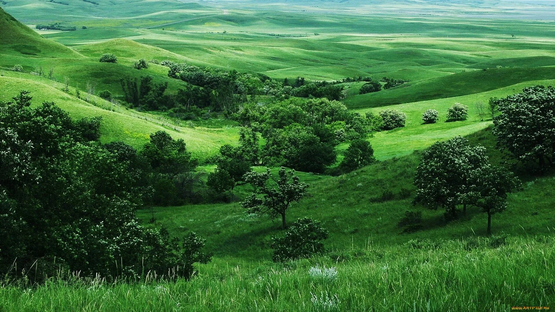 Природный ландшафт фото Программа "Знатоки природы" 2019, Мышкинский район - дата и место проведения, пр