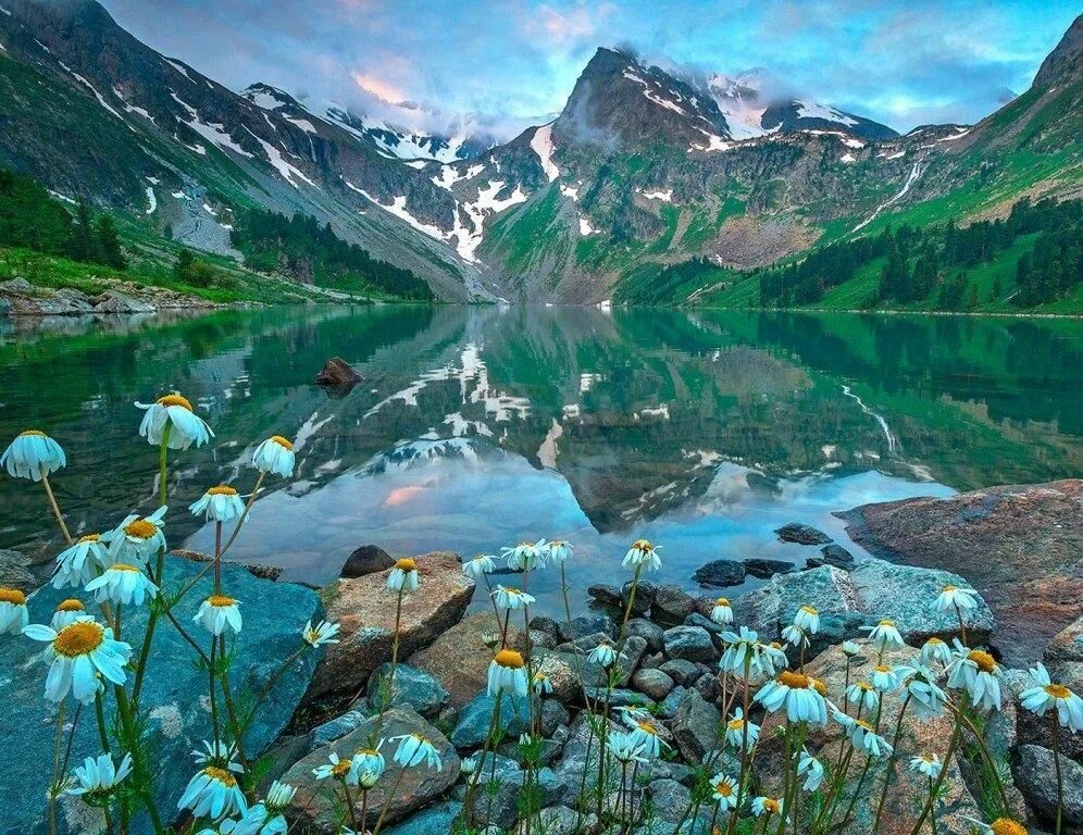 foggy lake flowers mountains wallpapers from skelus - images from Fonwall